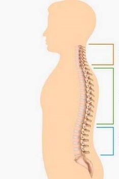 شکست توسط استئوکندروز قسمتهای مختلف ستون فقرات